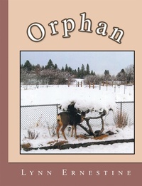 Abbildung von: Orphan - WestBow Press