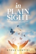 Cover: In Plain Sight - Prosperity Publishing