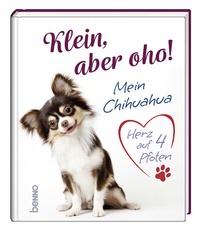 Abbildung von: Klein, aber oho! - St. Benno
