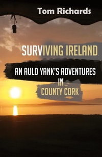 Abbildung von: Surviving Ireland - Storylines Entertainment Ltd