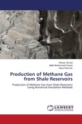 Cover: Production of Methane Gas from Shale Reservoirs - LAP Lambert Academic Publishing