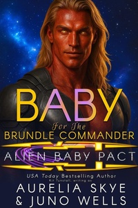 Enlarge image Cover: Baby For The Brundle Commander - Amourisa Press