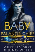 Cover: Baby For The Palantir Chief - Amourisa Press