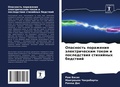 Cover: Opasnost' porazheniq &auml;lektricheskim tokom i posledstwiq stihijnyh bedstwij - Sciencia Scripts