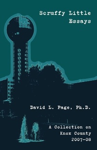 Abbildung von: Scruffy Little Essays - Warped Minds