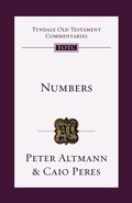 Cover: Numbers: Volume 4 - IVP Academic