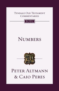 Enlarge image Cover: Numbers: Volume 4 - IVP Academic