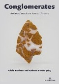Cover: Conglomerates - Peter Lang Verlag
