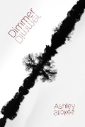 Cover: Dimmer - Salo Press