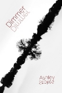 Enlarge image Cover: Dimmer - Salo Press