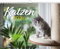 Abbildung von: Kalender Katzen 2026 Eintragkalender - Heel