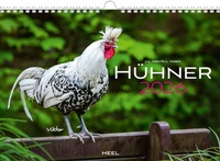 Abbildung von: Hühner Kalender 2026 - Heel
