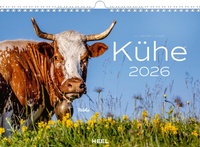 Abbildung von: Kühe Kalender 2026 Wandkalender - Heel