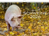 Abbildung von: Schweine Kalender 2026 - Heel