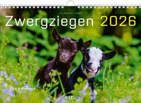 Abbildung von: Kalender Zwergziegen 2026 - Heel