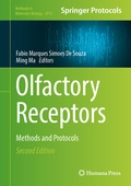 Bild: Olfactory Receptors - Humana