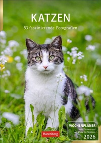 Abbildung von: Katzen Wochenplaner 2026 - 53 faszinierende Fotografien - Harenberg