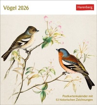 Abbildung von: Vögel Postkartenkalender 2026 - Postkartenkalender mit 53 historischen Zeichnungen - Harenberg
