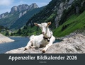 Cover: Appenzeller Bildkalender 2026 - Appenzeller