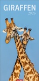 Cover: Giraffen Kalender 2026 - Weingarten