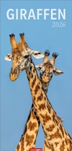 Cover: Giraffen Kalender 2026 - Weingarten