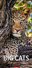 Cover: Big Cats Kalender 2026 - Weingarten