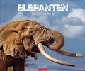 Cover: Elefanten Kalender 2026 - Weingarten