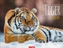 Cover: Tiger Kalender 2026 - Weingarten