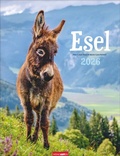 Cover: Esel Kalender 2026 - Weingarten
