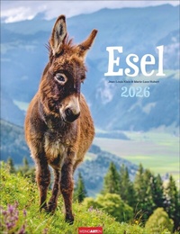 Abbildung von: Esel Kalender 2026 - Weingarten