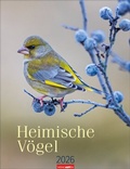 Cover: Heimische V&ouml;gel Kalender 2026 - Weingarten