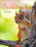 Cover: Eichh&ouml;rnchen Kalender 2026 - Weingarten