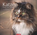 Cover: Katzen - Diven auf Samtpfoten Kalender 2026 - Weingarten