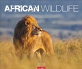 Cover: African Wildlife Kalender 2026 - Weingarten