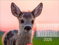 Cover: Heimische Wildtiere Kalender 2026 - Weingarten