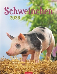 Abbildung von: Schweinchen Kalender 2026 - Weingarten