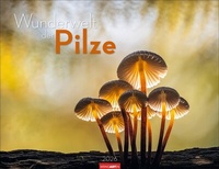 Abbildung von: Wunderwelt der Pilze Kalender 2026 - Weingarten