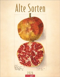 Abbildung von: Alte Sorten Kalender 2026 - Weingarten