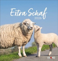 Abbildung von: Extra Schaf Postkartenkalender 2026 - Eiland