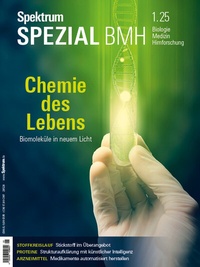 Abbildung von: Spektrum Spezial BMH 1/2025 - Chemie des Lebens - Spektrum der Wissenschaft