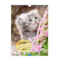 Abbildung von: Trötsch Classickalender Liebste Katzen 2026 - Trötsch Verlag GmbH & Co. KG