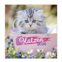 Abbildung von: Trötsch Broschürenkalender Katzen 2026 - Trötsch Verlag GmbH & Co. KG
