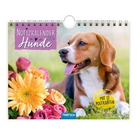 Abbildung von: Trötsch Notizkalender Querformat Notizkalender Hunde 2026 mit 12 Postkarten - Trötsch Verlag GmbH & Co. KG