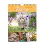 Cover: Trötsch Wochenkalender zum Hängen Katzen 2026 - Trötsch Verlag GmbH & Co. KG
