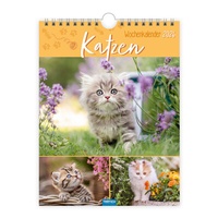 Abbildung von: Trötsch Wochenkalender zum Hängen Katzen 2026 - Trötsch Verlag GmbH & Co. KG