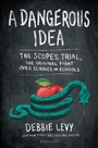 Cover: A Dangerous Idea - Bloomsbury Childrens Books