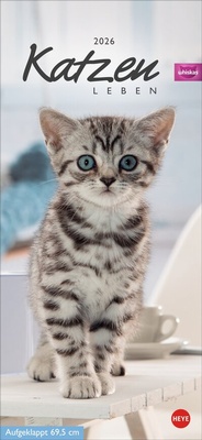 Abbildung von: Whiskas Katzenleben Kalender 2026 - Heye