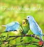 Bild: Freche Wellensittiche Postkartenkalender 2026 - Heye