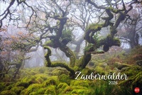 Abbildung von: Zauberwälder Edition Kalender 2026 - Heye