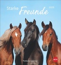 Cover: Pferde Postkartenkalender 2026 - Starke Freunde - Heye